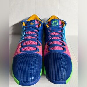 Nike LeBron Men’s Size 11 US Basketball Shoes Witness 8 Promise New HJ2962-900